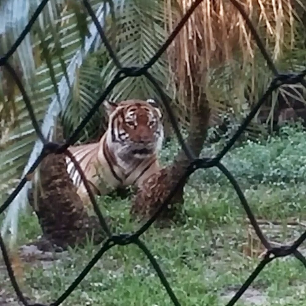 Meet your Posher, Sherrie